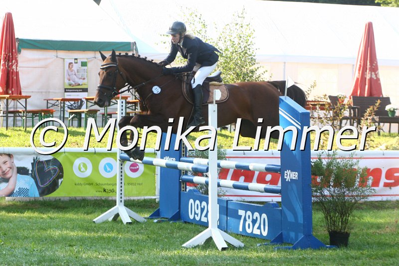 308M9241_Acaston_Springpferde A.JPG